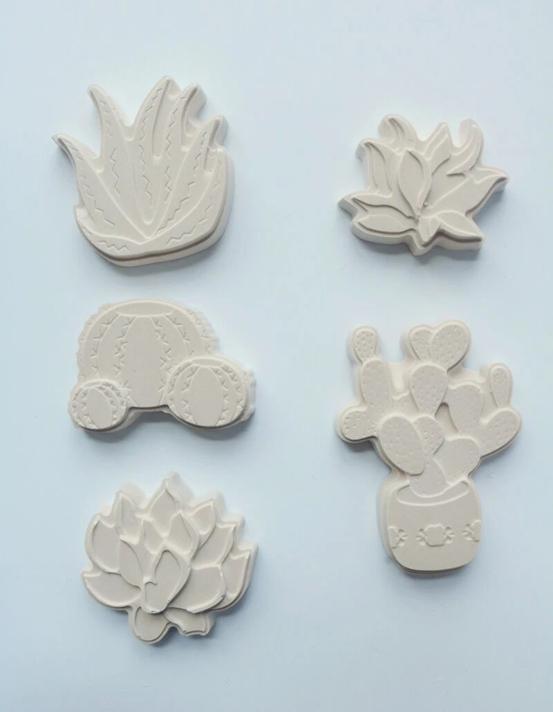 Decorative Plaster Succulents with ArtPlaster™